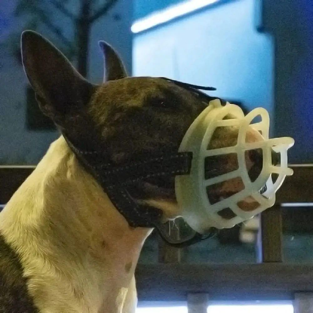 Breathable Adjustable Reflective Pet Mouth Cover Muzzle for Aggressive Dogs to Stop Biting