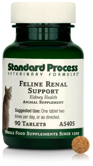 Feline Renal Support, 90 Tablets