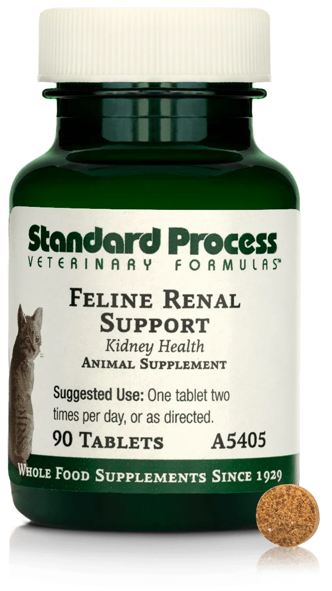 Feline Renal Support, 90 Tablets