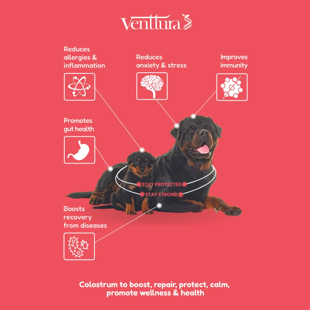 Venttura Immuno Plus Immunity Booster Spray for Dogs