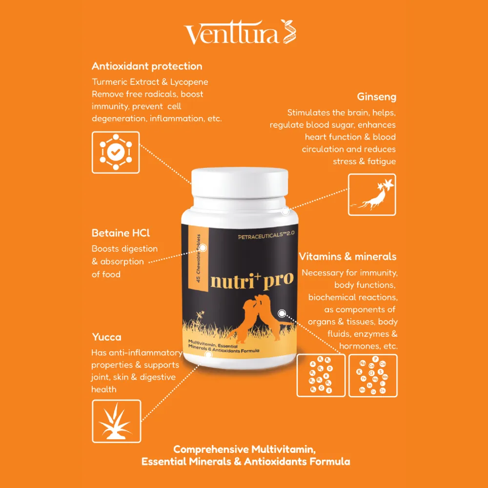 Venttura Nutri Plus Pro Multi Vitamin Chewable Tablets for Dogs